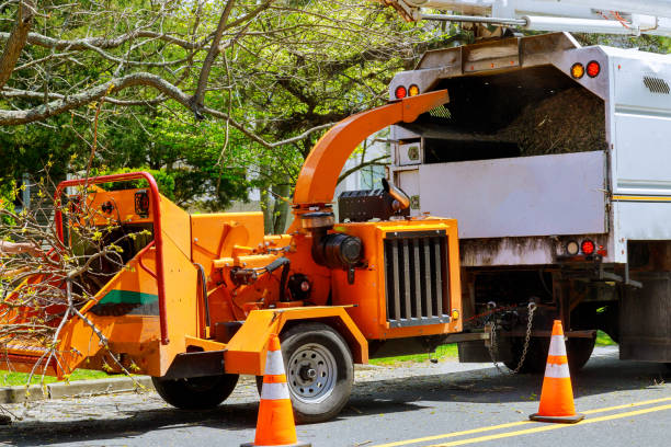 How Our Tree Care Process Works  in South Pottstown, PA